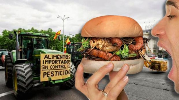 Cómo nos obligarán a todos a comer insectos y carne sintética: la estrategia holandesa sobre el nitrógeno